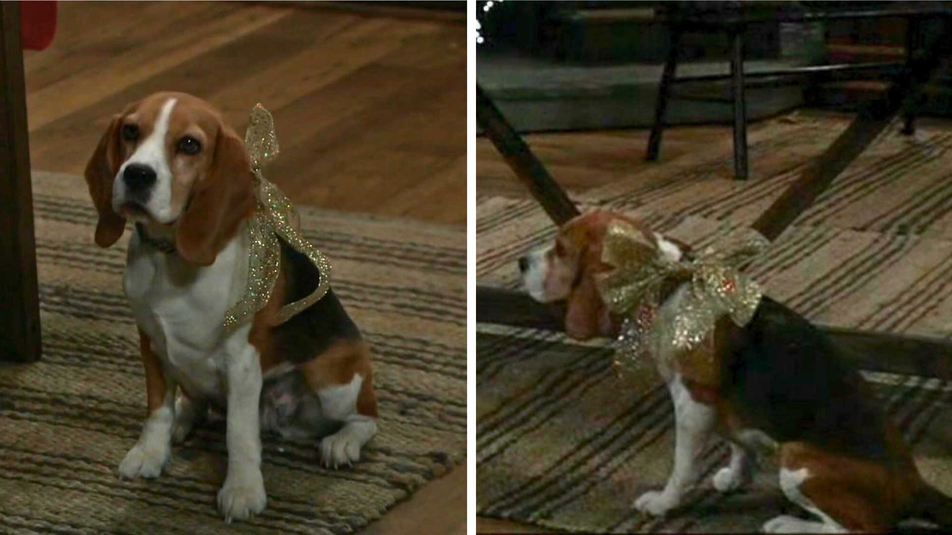 Outback, aka Princess Pie, on General Hospital | Photos: ABC